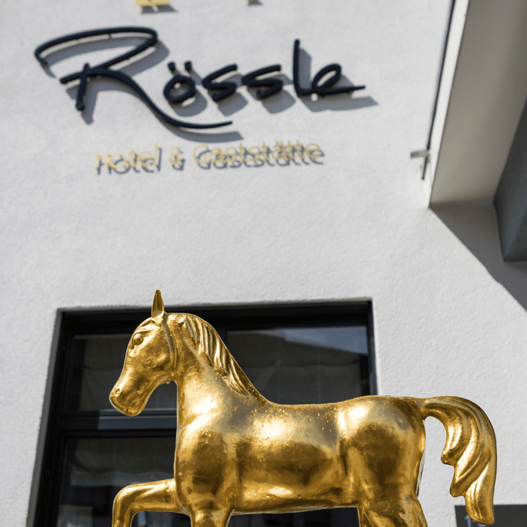 koehlehotels-hotel-goldener-pflug-ludwigsburg-koehlehotels hotel goldener pflug ludwigsburg benefits 5