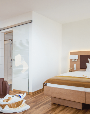 koehlehotels-hotel-goldener-pflug-ludwigsburg-6-1